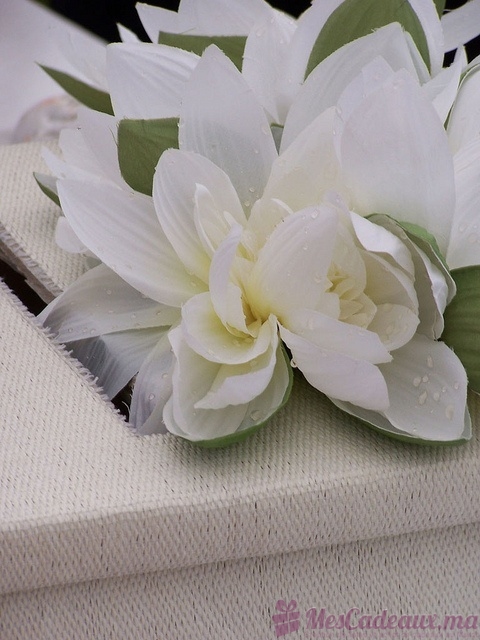 cadeaux invités