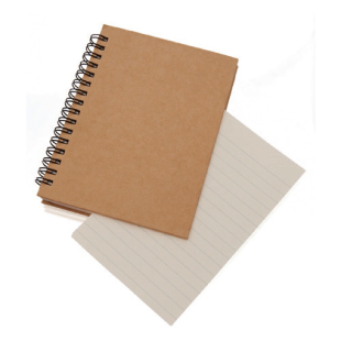 Cahier Flato