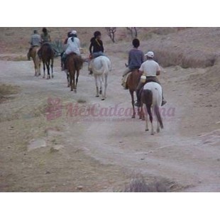 Randonnée Equestre - Dar Bouazza